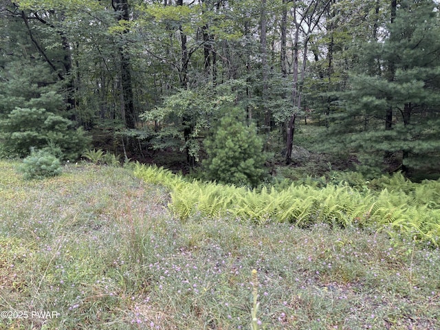 LOT785 Jack Pine Dr, Dingmans Ferry, PA 18328 - photo 24