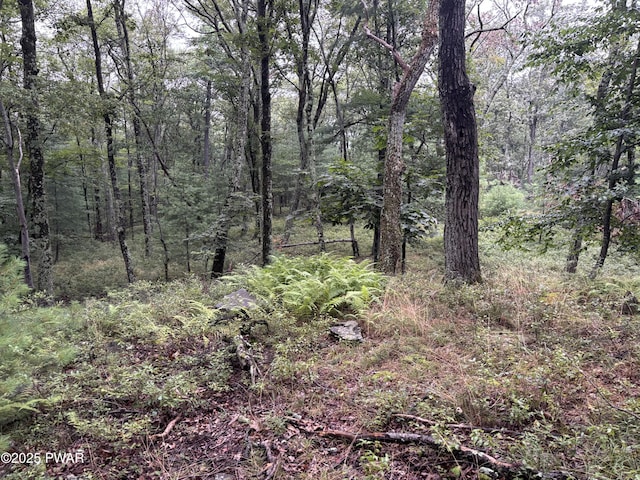 LOT785 Jack Pine Dr, Dingmans Ferry, PA 18328 - photo 12
