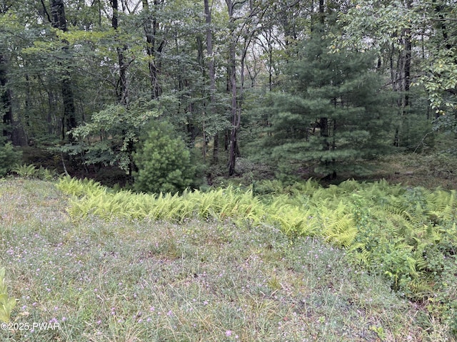 LOT785 Jack Pine Dr, Dingmans Ferry, PA 18328 - photo 23