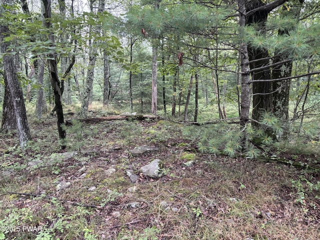 LOT785 Jack Pine Dr, Dingmans Ferry, PA 18328 - photo 20