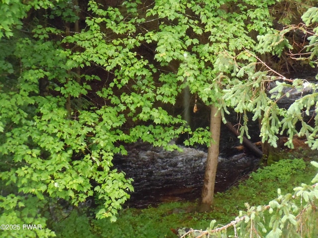 59 Tobyhanna Rd, Gouldsboro, PA 18424 - view of local wilderness