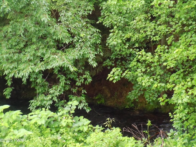 59 Tobyhanna Rd, Gouldsboro, PA 18424 - view of local wilderness