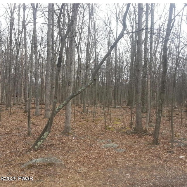 Listing photo 3 for LOT268 Evergreen Ct, Lackawaxen PA 18428