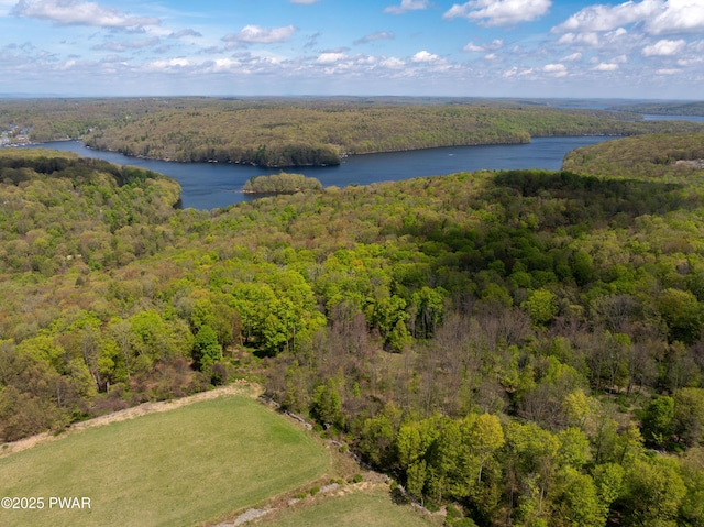 drone / aerial view with a water view and a view of trees