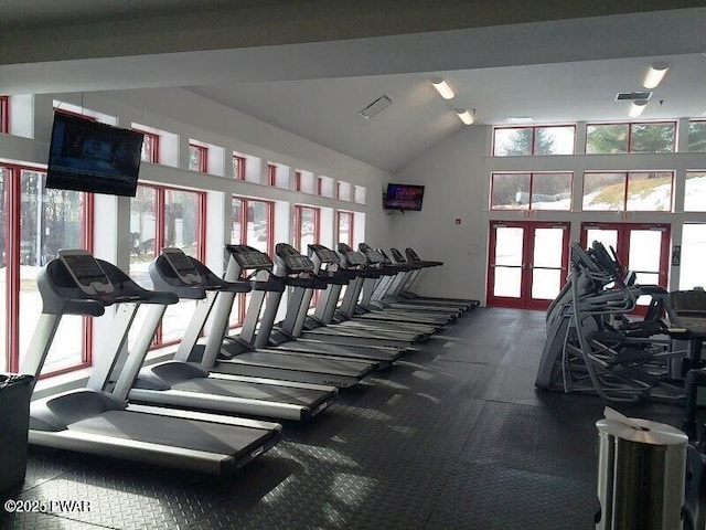 workout area featuring french doors, vaulted ceiling, a wealth of natural light, and carpet