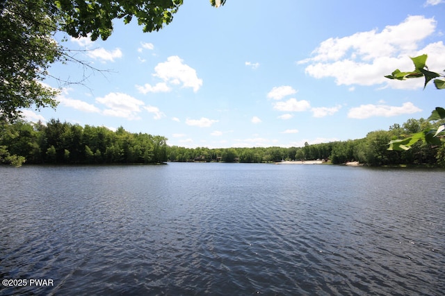 115 Deer Path, Tafton, PA 18464 - water view with a forest