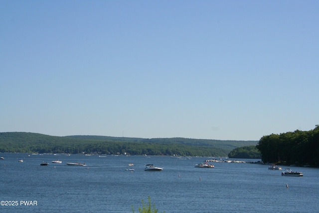 115 Deer Path, Tafton, PA 18464 - water view with a heavily wooded area