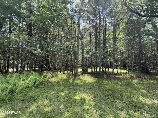 497 Timber Ridge Dr, Hawley, PA 18428