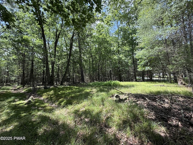497 Timber Ridge Dr, Hawley, PA 18428