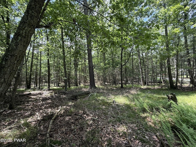 497 Timber Ridge Dr, Hawley, PA 18428
