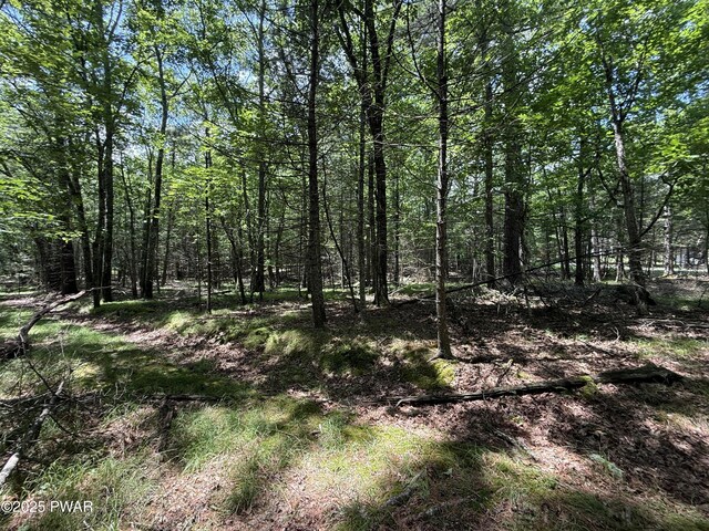 497 Timber Ridge Dr, Hawley, PA 18428