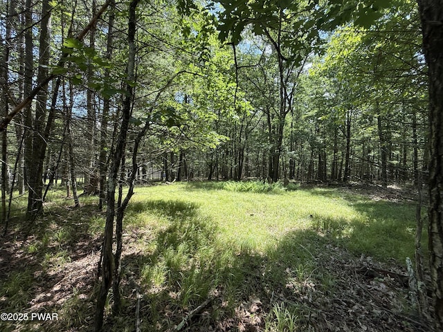 497 Timber Ridge Dr, Hawley, PA 18428