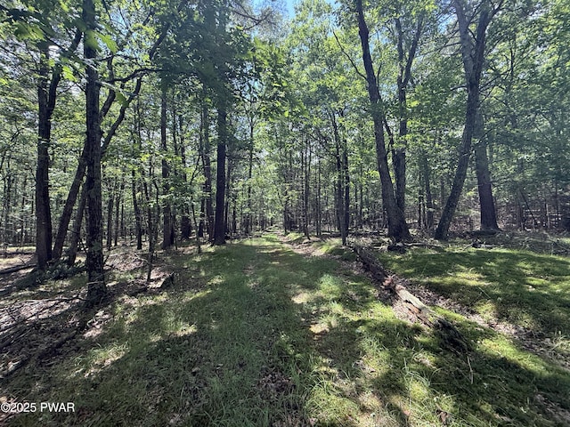 497 Timber Ridge Dr, Hawley, PA 18428