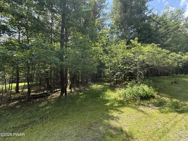 497 Timber Ridge Dr, Hawley, PA 18428