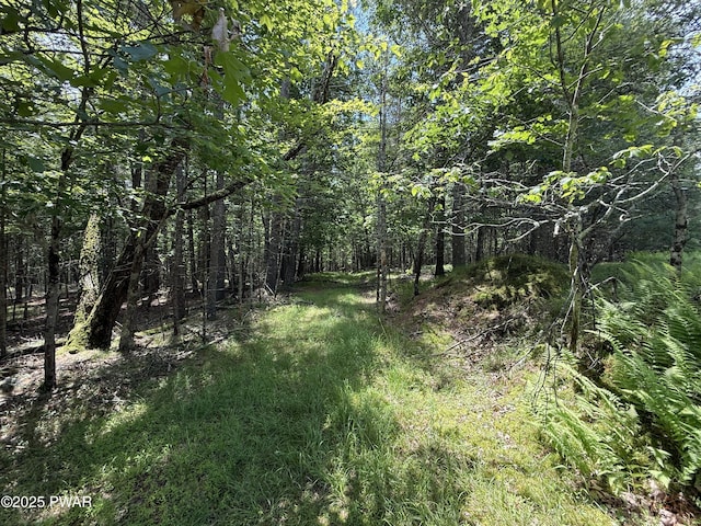 497 Timber Ridge Dr, Hawley, PA 18428