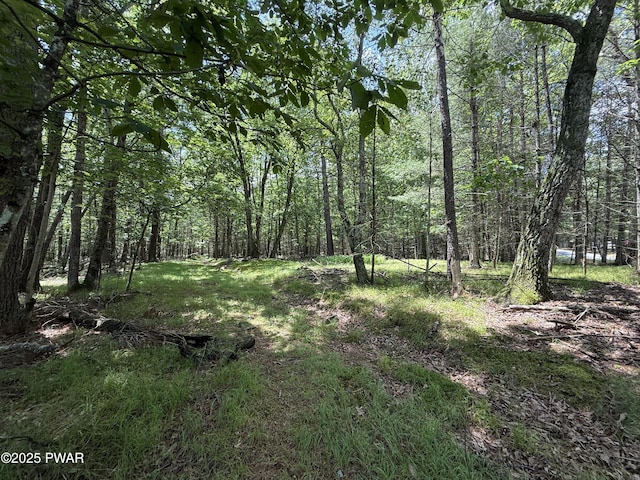 497 Timber Ridge Dr, Hawley, PA 18428