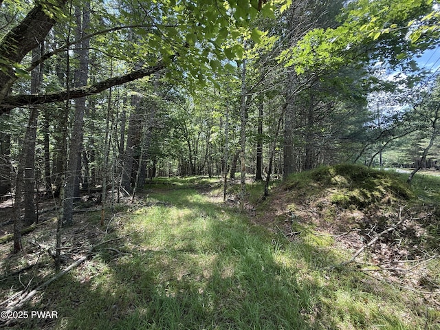 497 Timber Ridge Dr, Hawley, PA 18428