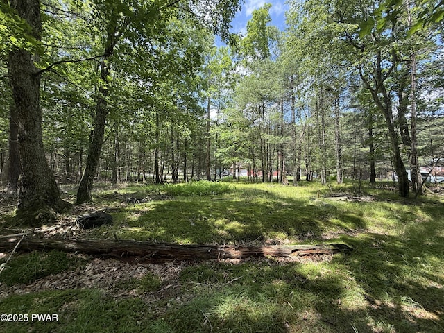 497 Timber Ridge Dr, Hawley, PA 18428