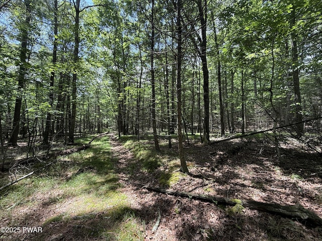 497 Timber Ridge Dr, Hawley, PA 18428