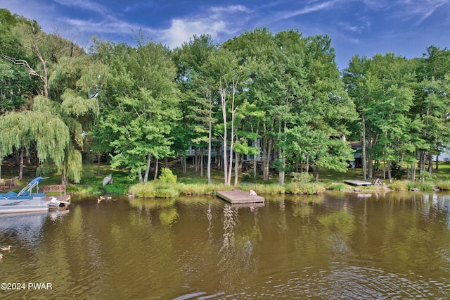 view of water feature with a boat dock