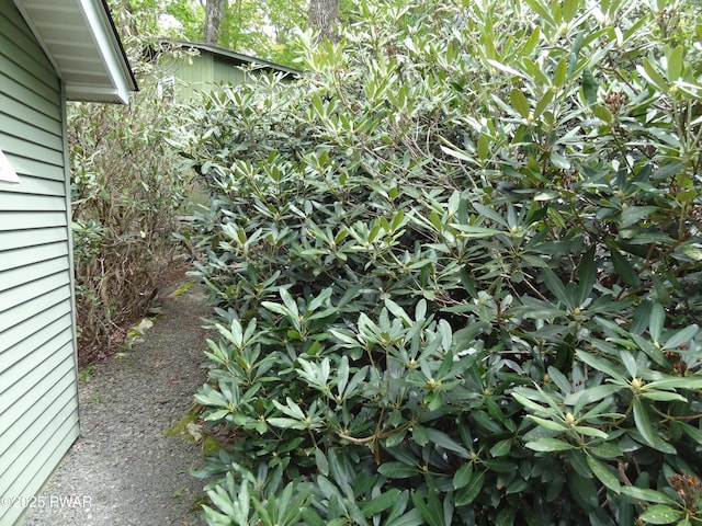 58 Branch Rd, Greentown, PA 18426 - view of yard