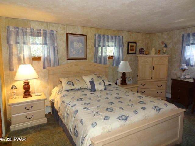 58 Branch Rd, Greentown, PA 18426 - bedroom featuring baseboard heating and dark colored carpet