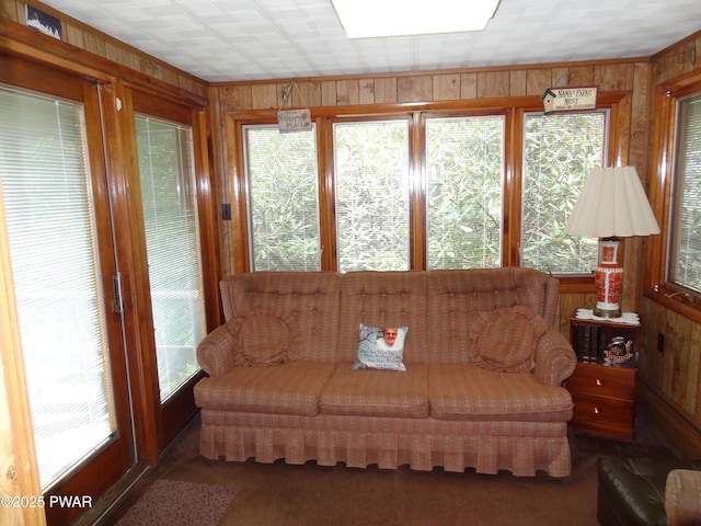 58 Branch Rd, Greentown, PA 18426 - living area featuring wood walls, healthy amount of natural light, and carpet flooring