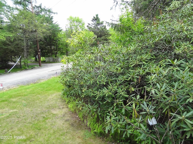 58 Branch Rd, Greentown, PA 18426 - view of street
