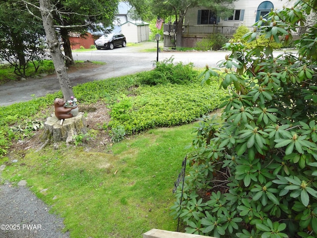58 Branch Rd, Greentown, PA 18426 - view of yard