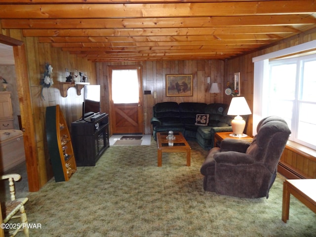 58 Branch Rd, Greentown, PA 18426 - carpeted living area with wooden walls