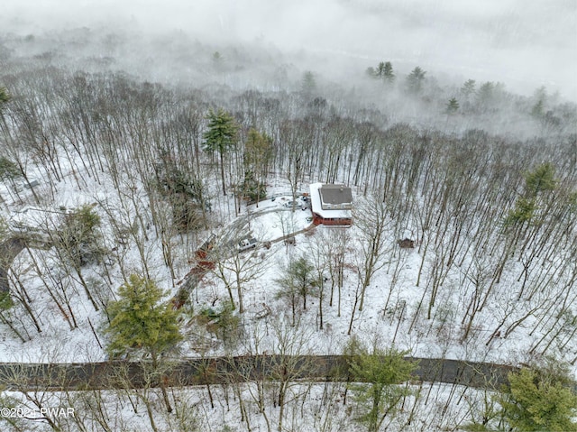 view of snowy aerial view