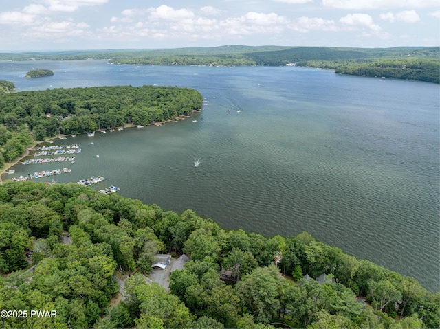 390 Lakeshore Dr, Lakeville, PA 18438 - photo 53