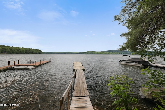 390 Lakeshore Dr, Lakeville, PA 18438 - photo 51