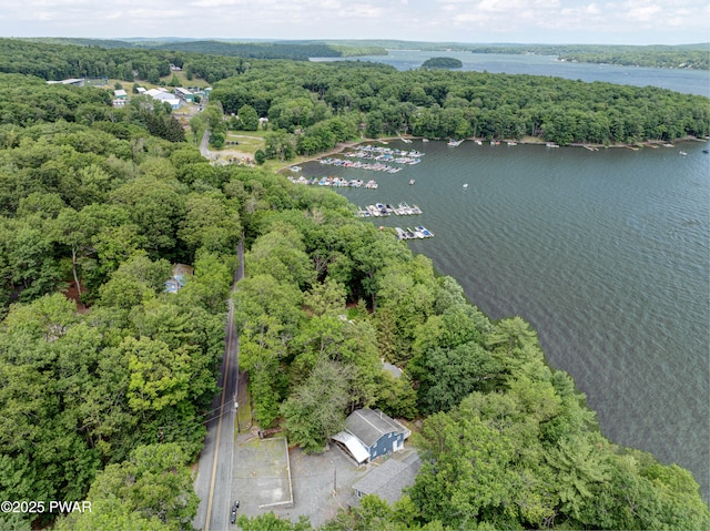 390 Lakeshore Dr, Lakeville, PA 18438 - photo 55