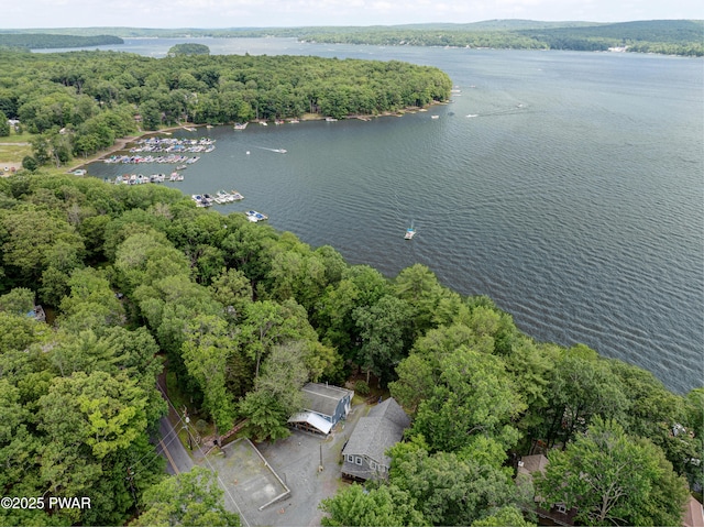 390 Lakeshore Dr, Lakeville, PA 18438 - photo 54