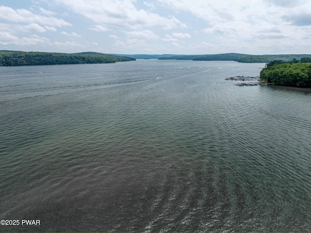 390 Lakeshore Dr, Lakeville, PA 18438 - photo 52