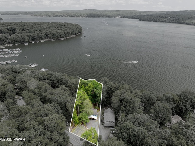 390 Lakeshore Dr, Lakeville, PA 18438 - photo 11