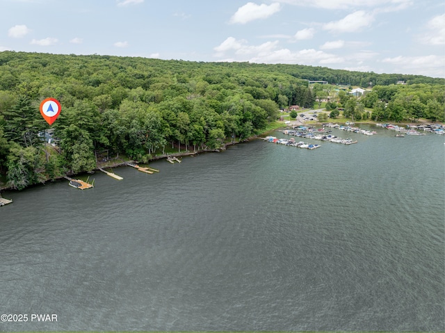 390 Lakeshore Dr, Lakeville, PA 18438 - photo 9