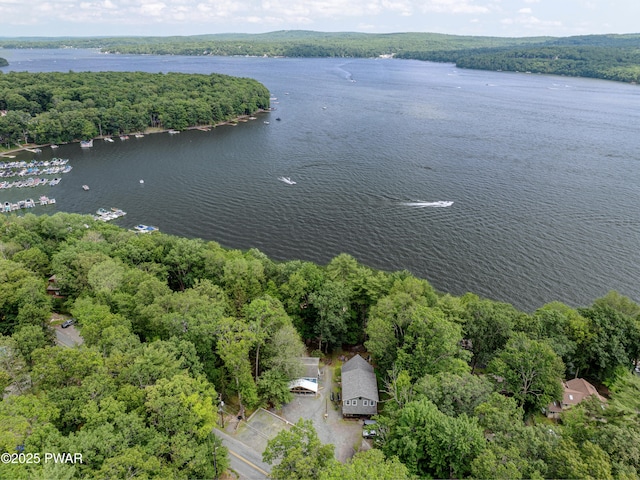 390 Lakeshore Dr, Lakeville, PA 18438 - photo 5