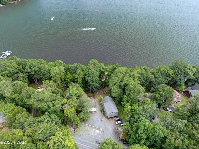 390 Lakeshore Dr, Lakeville, PA 18438 - photo 56