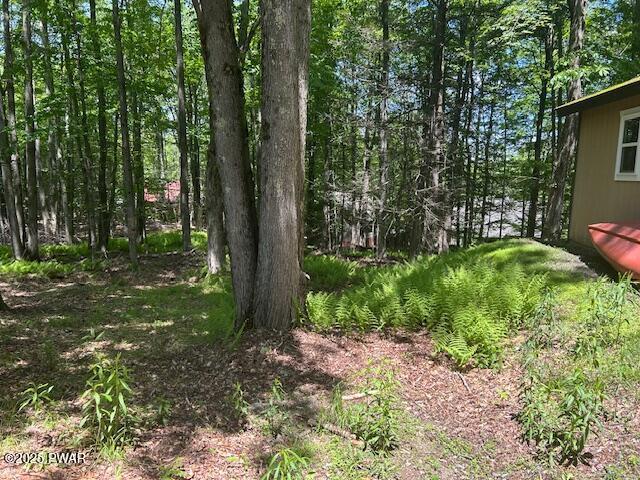 94 Cedarwood Ter, Lake Ariel, PA 18436 - view of nature