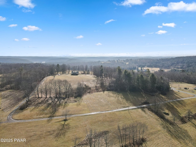 drone / aerial view featuring a rural view