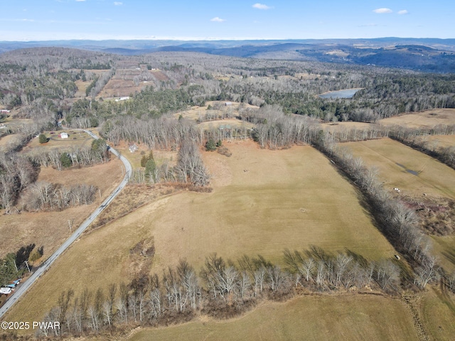 aerial view with a mountain view and a rural view