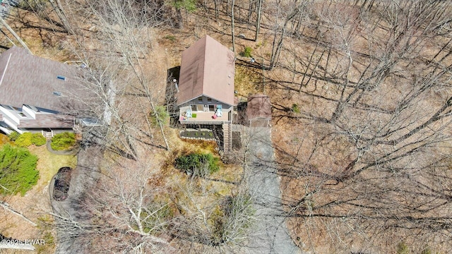 drone / aerial view