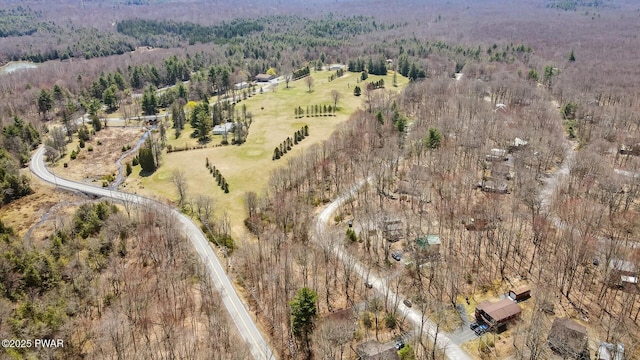 drone / aerial view featuring a view of trees