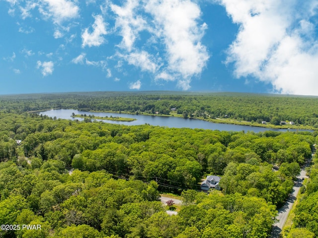 111 Babette Ct, Dingmans Ferry, PA 18328 - bird's eye view of a forest and a large body of water