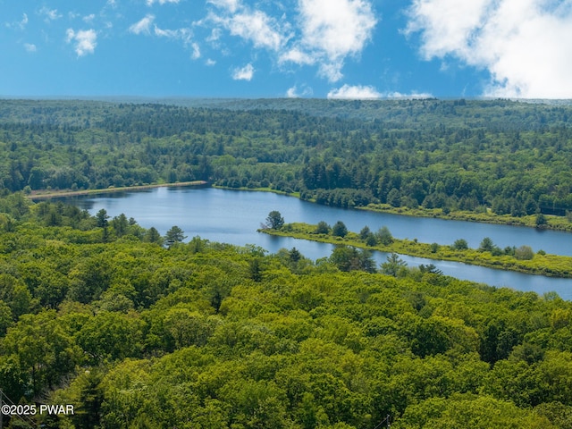 111 Babette Ct, Dingmans Ferry, PA 18328 - bird's eye view of a heavily wooded area and a nearby body of water