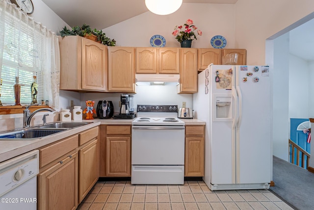 111 Babette Ct, Dingmans Ferry, PA 18328 - kitchen featuring white appliances, under cabinet range hood, a sink, light countertops, and light brown cabinets