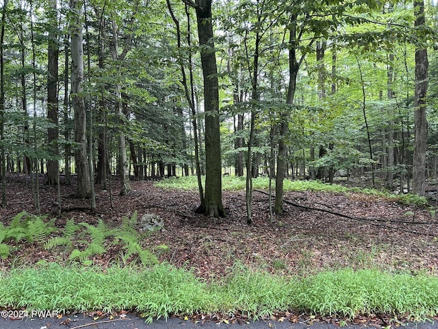 Listing photo 3 for LOT803 Pine Creek Rd, Hawley PA 18428