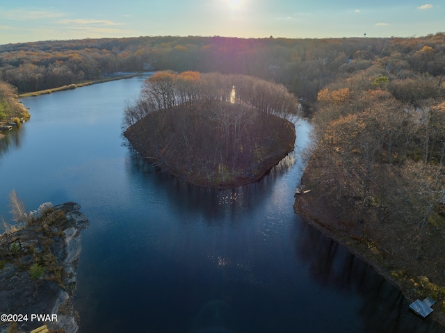 150 N Lake Dr, Dingmans Ferry, PA 18328 - view of property location with a large body of water and a forest